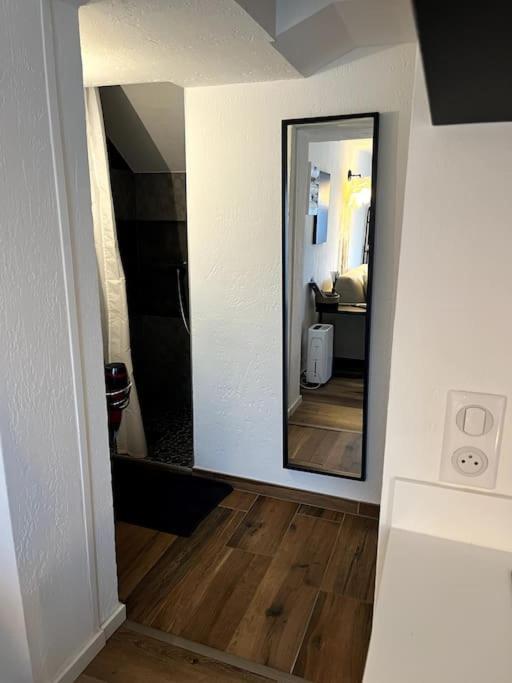 Studio Strasbourg Avec Jardin Bagian luar foto