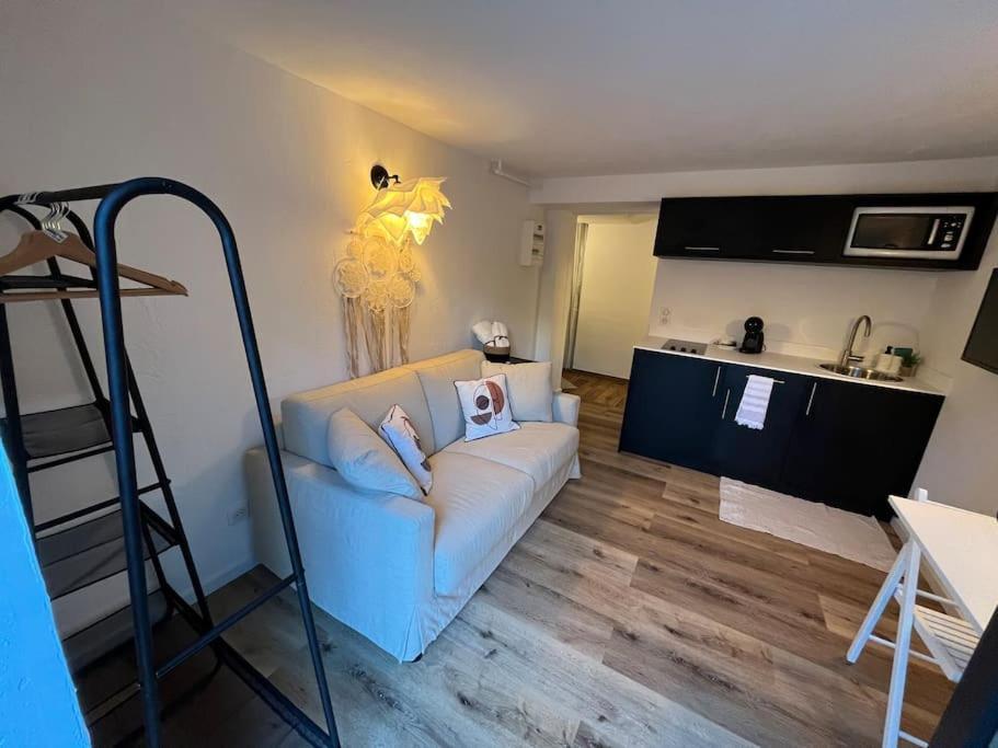 Studio Strasbourg Avec Jardin Bagian luar foto