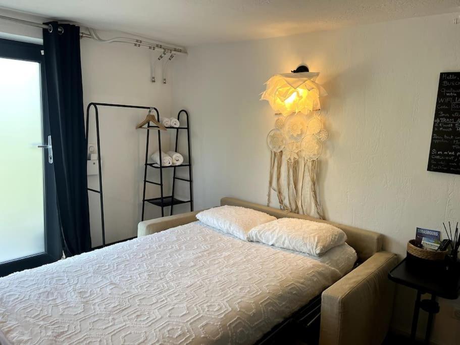 Studio Strasbourg Avec Jardin Bagian luar foto