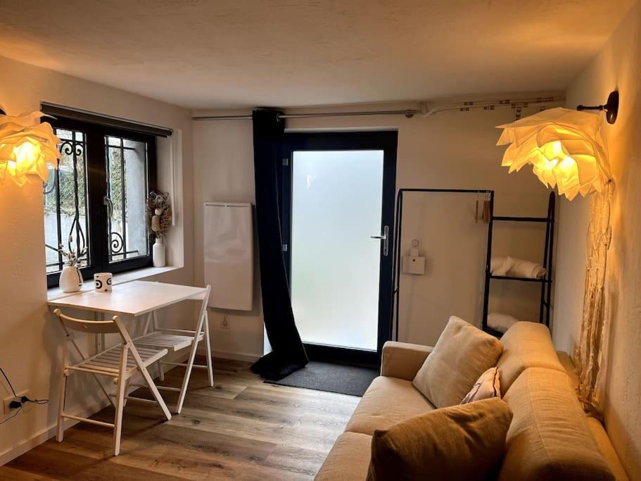 Studio Strasbourg Avec Jardin Bagian luar foto