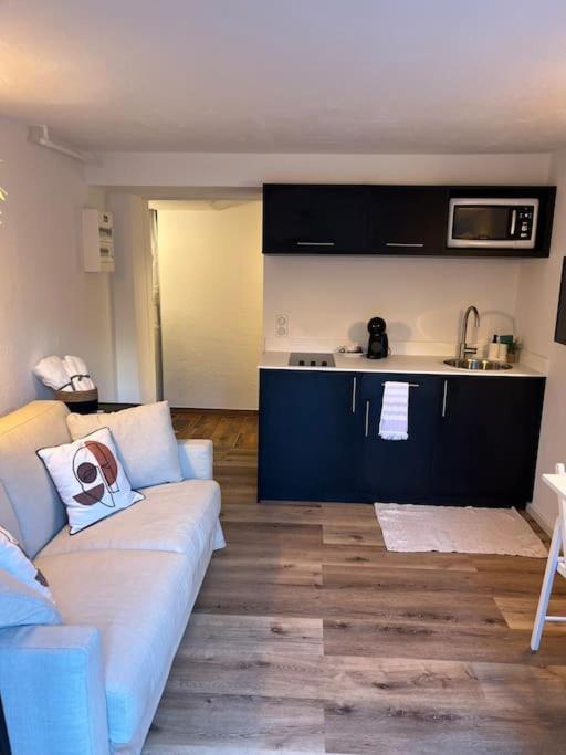 Studio Strasbourg Avec Jardin Bagian luar foto