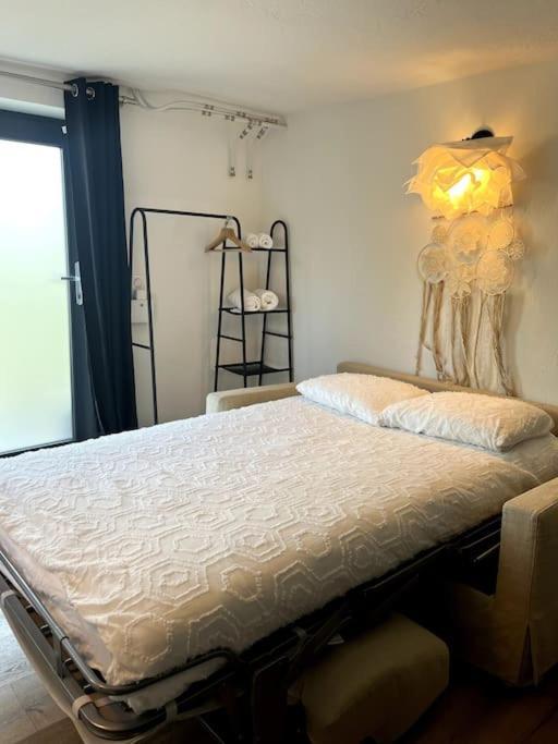 Studio Strasbourg Avec Jardin Bagian luar foto
